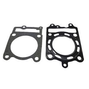 Others - Gaskets NIPPONIA ENVY 150 head set