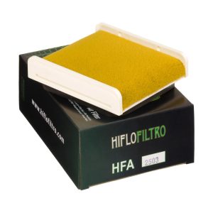 Hiflo Filtro - Air filter HFA2503 HIFLOFILTRO