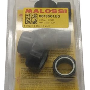 Malossi - Μπιλιες φυγοκ. 25Χ14.9 16.0γρ MALOSSI