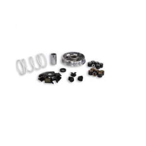 Malossi - Variator Gillera Runner 125/180 2T MALOSSI with clutch spring set